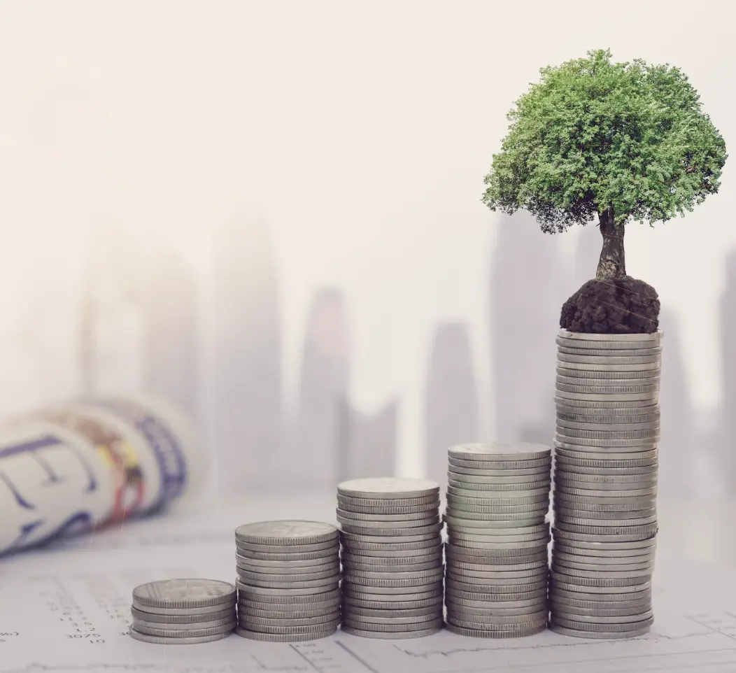 Seguridad Financiera